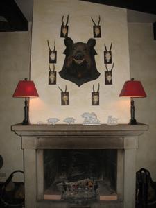 image Fireplace.jpg 